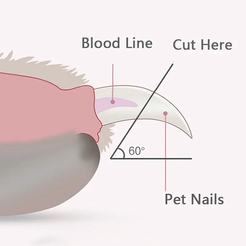 Professional Pet Nail Clippers with LED Light — Dogs, Cats & Small Animals